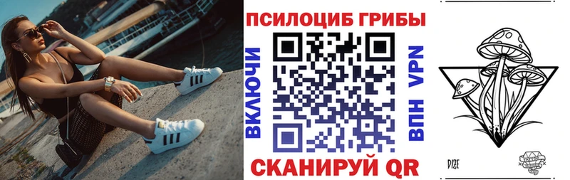 Псилоцибиновые грибы Cubensis Полтавская