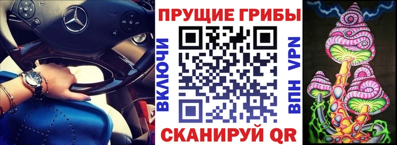 площадка наркотические препараты  Полтавская  Псилоцибиновые грибы ЛСД 